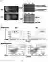 Fig. 03 - METHODS FOR ENHANCING LIFESPAN AND/OR TREATING CELLULAR PROLIFERATIVE DISORDERS BY TRANSPLANTATION
