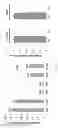 Fig. 06 - METHODS FOR ENHANCING LIFESPAN AND/OR TREATING CELLULAR PROLIFERATIVE DISORDERS BY TRANSPLANTATION