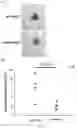 Fig. 10 - METHODS FOR ENHANCING LIFESPAN AND/OR TREATING CELLULAR PROLIFERATIVE DISORDERS BY TRANSPLANTATION