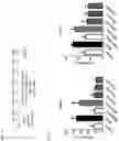 Fig. 02 - COMPOSITION FOR PREVENTING OR TREATING NEUROINFLAMMATORY DISORDERS, COMPRISING BEE VENOM EXTRACT AS ACTIVE INGREDIENT