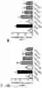 Fig. 04 - COMPOSITION FOR PREVENTING OR TREATING NEUROINFLAMMATORY DISORDERS, COMPRISING BEE VENOM EXTRACT AS ACTIVE INGREDIENT