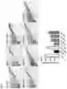 Fig. 05 - COMPOSITION FOR PREVENTING OR TREATING NEUROINFLAMMATORY DISORDERS, COMPRISING BEE VENOM EXTRACT AS ACTIVE INGREDIENT