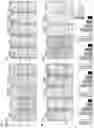 Fig. 11 - COMPOSITION FOR PREVENTING OR TREATING NEUROINFLAMMATORY DISORDERS, COMPRISING BEE VENOM EXTRACT AS ACTIVE INGREDIENT