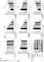 Fig. 18 - COMPOSITION FOR PREVENTING OR TREATING NEUROINFLAMMATORY DISORDERS, COMPRISING BEE VENOM EXTRACT AS ACTIVE INGREDIENT