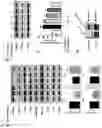 Fig. 19 - COMPOSITION FOR PREVENTING OR TREATING NEUROINFLAMMATORY DISORDERS, COMPRISING BEE VENOM EXTRACT AS ACTIVE INGREDIENT