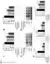 Fig. 21 - COMPOSITION FOR PREVENTING OR TREATING NEUROINFLAMMATORY DISORDERS, COMPRISING BEE VENOM EXTRACT AS ACTIVE INGREDIENT
