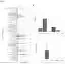 Fig. 08 - NOVEL DOLOSIGRANULUM PIGRUM STRAINS AND USES THEREOF