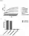 Fig. 11 - NOVEL DOLOSIGRANULUM PIGRUM STRAINS AND USES THEREOF