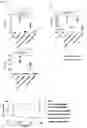 Fig. 13 - NOVEL DOLOSIGRANULUM PIGRUM STRAINS AND USES THEREOF