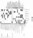 Fig. 102 - Methods of decreasing dysbiosis and restoring a microbiome