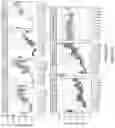 Fig. 118 - Methods of decreasing dysbiosis and restoring a microbiome