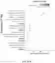 Fig. 126 - Methods of decreasing dysbiosis and restoring a microbiome