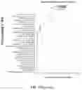 Fig. 139 - Methods of decreasing dysbiosis and restoring a microbiome