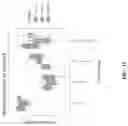 Fig. 28 - Methods of decreasing dysbiosis and restoring a microbiome