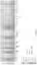 Fig. 54 - Methods of decreasing dysbiosis and restoring a microbiome