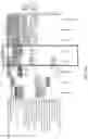 Fig. 82 - Methods of decreasing dysbiosis and restoring a microbiome