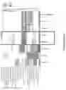 Fig. 83 - Methods of decreasing dysbiosis and restoring a microbiome