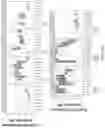 Fig. 88 - Methods of decreasing dysbiosis and restoring a microbiome