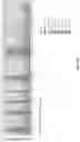 Fig. 90 - Methods of decreasing dysbiosis and restoring a microbiome