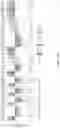 Fig. 94 - Methods of decreasing dysbiosis and restoring a microbiome