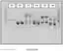 Fig. 13 - MICROBIAL STRAINS FOR VIRUS INHIBITION