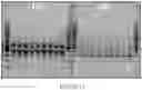 Fig. 15 - MICROBIAL STRAINS FOR VIRUS INHIBITION