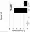 Fig. 08 - METHOD OF TREATING AND/OR PREVENTING ASTHMA, ASTHMA EXACERBATIONS, ALLERGIC ASTHMA AND/OR ASSOCIATED CONDITIONS WITH MICROBIOTA RELATED TO RESPIRATORY DISORDERS