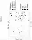 Fig. 19 - METHOD OF TREATING AND/OR PREVENTING ASTHMA, ASTHMA EXACERBATIONS, ALLERGIC ASTHMA AND/OR ASSOCIATED CONDITIONS WITH MICROBIOTA RELATED TO RESPIRATORY DISORDERS