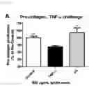 Fig. 07 - NOVEL BIFIDOBACTERIUM LONGUM STRAIN OR COSMETIC COMPOSITION COMPRISING SAME