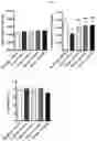 Fig. 05 - COMPOSITION COMPRISING LACTOBACILLUS PLANTARUM FOR PREVENTING AND/OR TREATING MENTAL ILLNESS