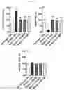 Fig. 13 - COMPOSITION COMPRISING LACTOBACILLUS PLANTARUM FOR PREVENTING AND/OR TREATING MENTAL ILLNESS