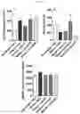 Fig. 14 - COMPOSITION COMPRISING LACTOBACILLUS PLANTARUM FOR PREVENTING AND/OR TREATING MENTAL ILLNESS