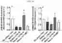 Fig. 15 - COMPOSITION COMPRISING LACTOBACILLUS PLANTARUM FOR PREVENTING AND/OR TREATING MENTAL ILLNESS
