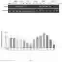 Fig. 03 - ACTIVE SUBSTANCE OF LACTOBACILLUS PLANTARUM GKM3, A COMPOSITION COMPRISING THEREOF AND ITS USE FOR PROMOTING LONGEVITY