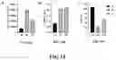 Fig. 16 - Adeno-Associated Virus Vector Formulations and Methods