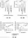 Fig. 10 - ONCOLYTIC VIRUSES AND METHODS FOR USING ONCOLYTIC VIRUSES