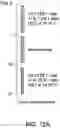 Fig. 14 - ONCOLYTIC VIRUSES AND METHODS FOR USING ONCOLYTIC VIRUSES