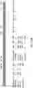 Fig. 15 - ONCOLYTIC VIRUSES AND METHODS FOR USING ONCOLYTIC VIRUSES
