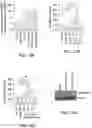 Fig. 16 - ONCOLYTIC VIRUSES AND METHODS FOR USING ONCOLYTIC VIRUSES