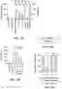 Fig. 17 - ONCOLYTIC VIRUSES AND METHODS FOR USING ONCOLYTIC VIRUSES