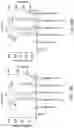 Fig. 19 - ONCOLYTIC VIRUSES AND METHODS FOR USING ONCOLYTIC VIRUSES