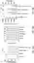 Fig. 22 - ONCOLYTIC VIRUSES AND METHODS FOR USING ONCOLYTIC VIRUSES