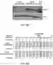 Fig. 32 - ONCOLYTIC VIRUSES AND METHODS FOR USING ONCOLYTIC VIRUSES