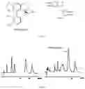 Fig. 02 - High yield extraction method for and products of plants