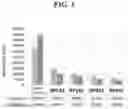 Fig. 02 - Peptides Having Immunomodulatory Properties