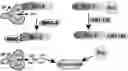 Fig. 01 - Inhibitors of Bcl-2