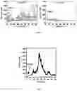Fig. 05 - Inhibitors of Bcl-2