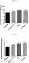 Fig. 03 - COMPOSITIONS AND METHODS FOR THE TREATMENT OF OCULAR NEOVASCULARIZATION