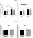 Fig. 04 - COMPOSITIONS AND METHODS FOR THE TREATMENT OF OCULAR NEOVASCULARIZATION