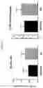 Fig. 05 - COMPOSITIONS AND METHODS FOR THE TREATMENT OF OCULAR NEOVASCULARIZATION